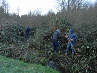 Clearing upstream