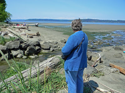 Dash Point at low tide.