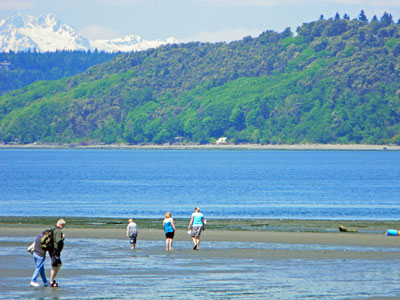 The Olympic Range beyond Vashon Island.