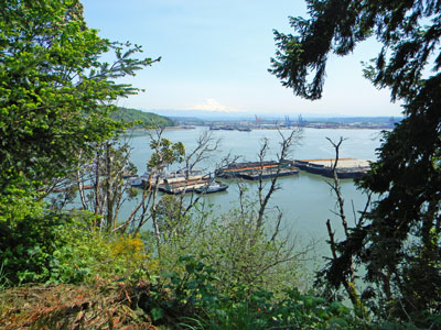 Looking across Commencement Bay at the Mountain..