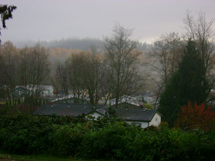 The sun is shining on the trees down by the river