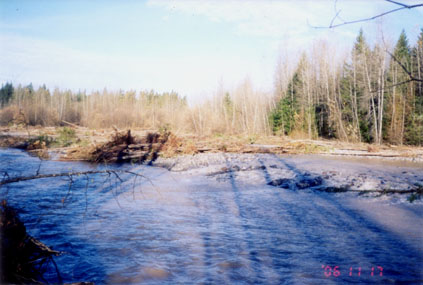 Trees stacked high block channel