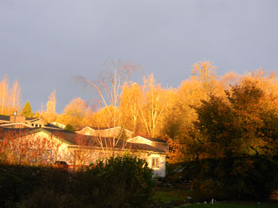 Overcast morning sunrise.