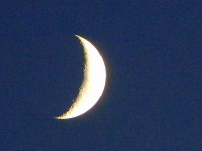 Summer moon just prior to setting over Golden Valley