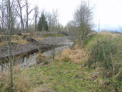 Scenery next to geocache site.