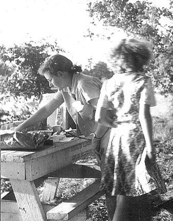 Picnic along Mississippi River