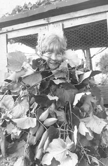 Esther and the grape leaves.