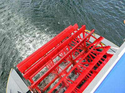 Paddle wheel