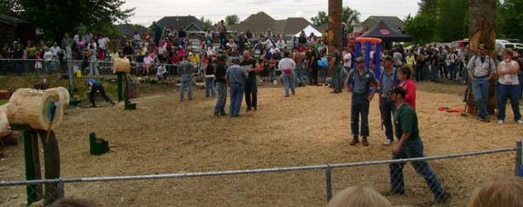 The Axe throwing competition