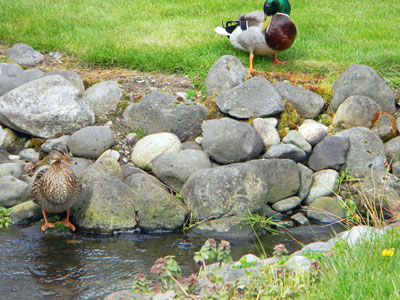 A rock wall is a great place for a rest.