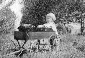 The baby was feeding him bread and milk with a spoon.