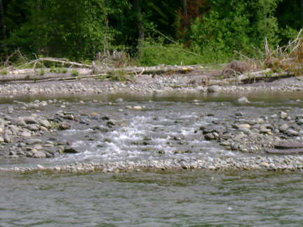Source of many River sounds
