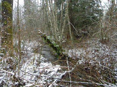 Downstream from footbridge