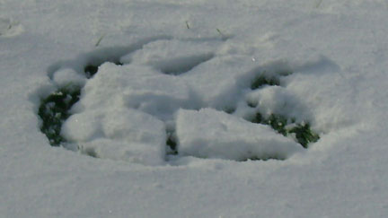 Snow sign close-up