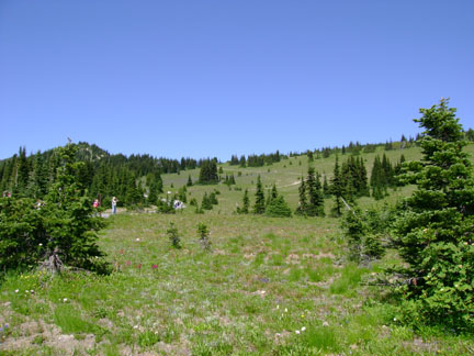 Gentle rise to Sourdough Ridge