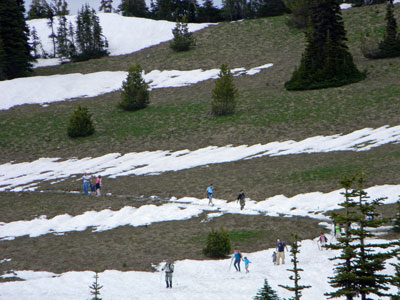 Snow packed trails.