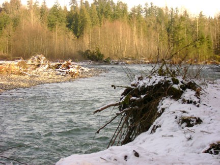 The White River claims two more trees.