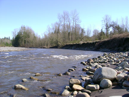 The new river bank.