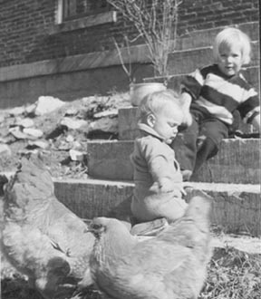 Easter Chicks ready the attack.