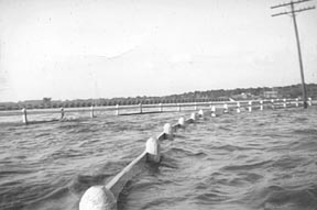 Pictures by Mildred Mills from a boat.