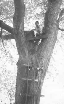 Bob in Maple Tree House.